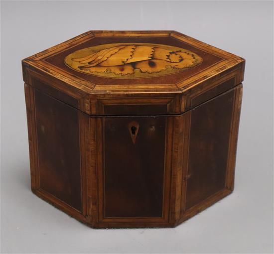 A George III inlaid hexagonal tea caddy height 14cm